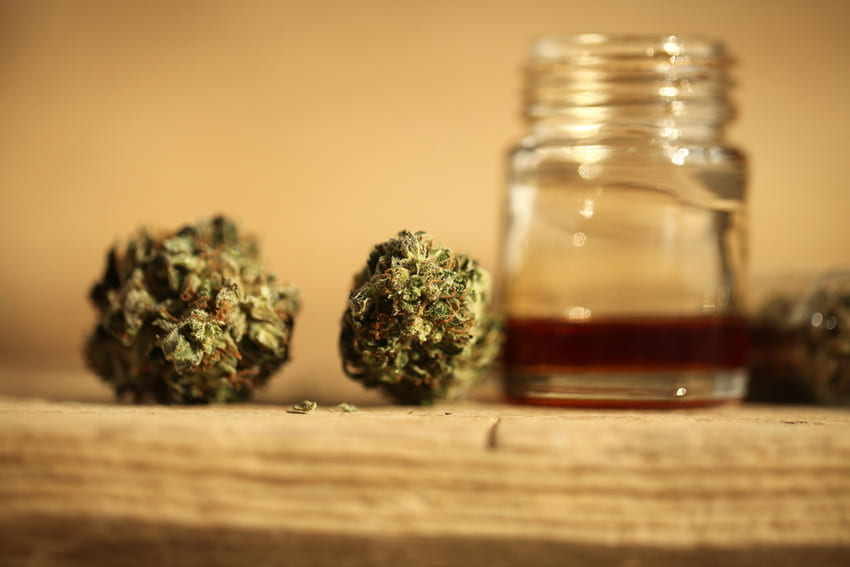 como hacer aceite de cbd en casa